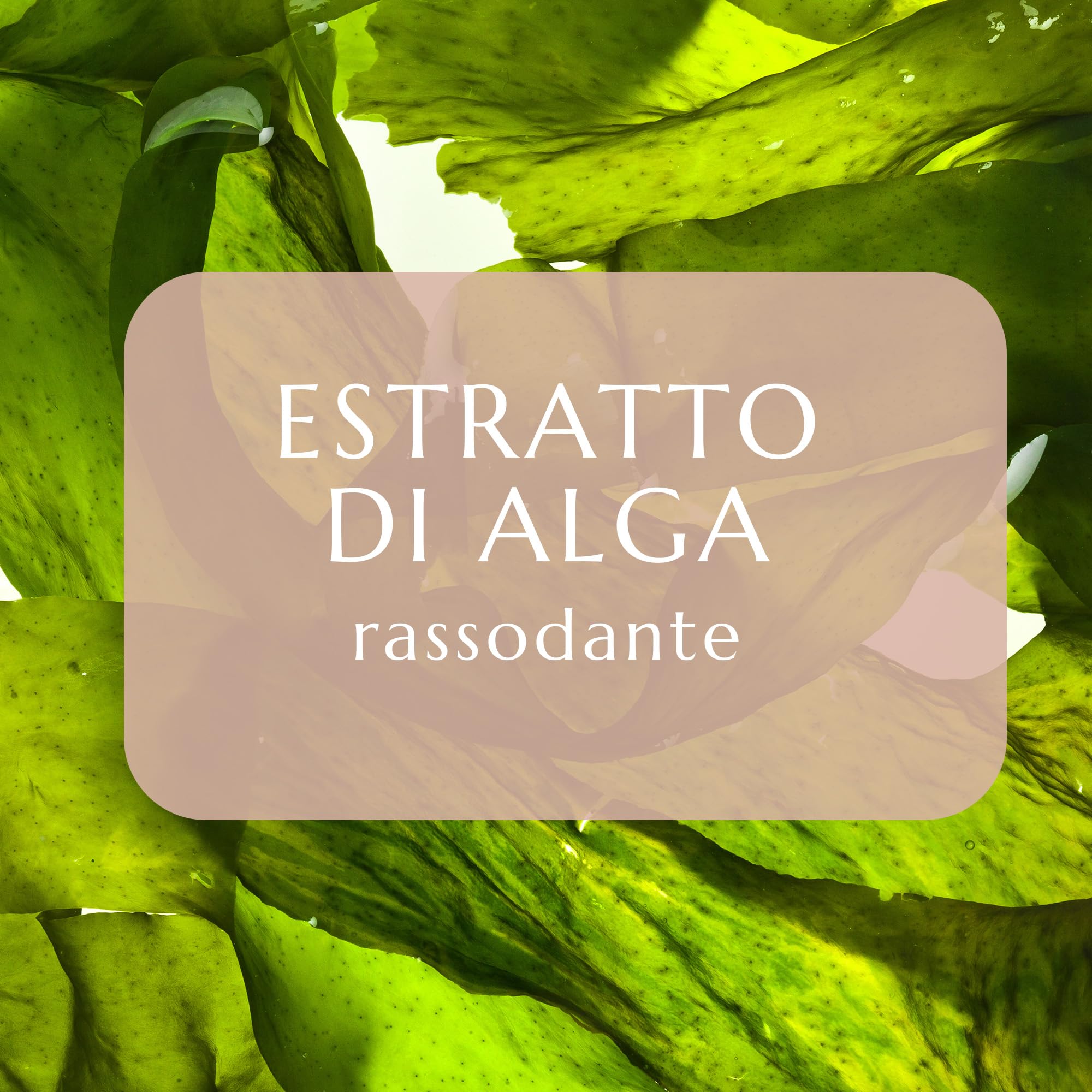 collistar-talasso-doccia-rassodante-elasticizzante-oleo-gel-con-nocciola-e-melog image 3